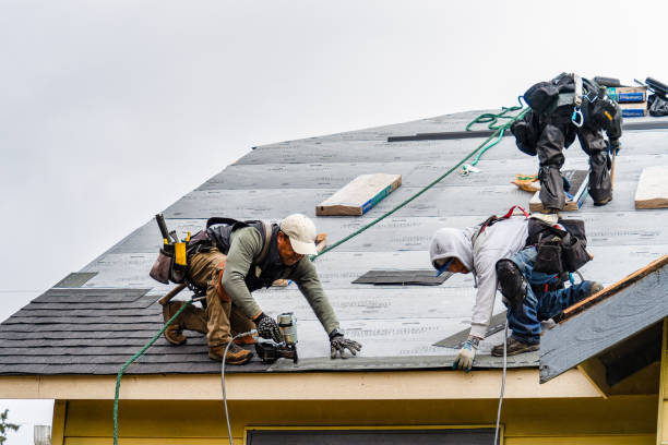 Professional Roof Installation technician working in Hiawatha, IA
